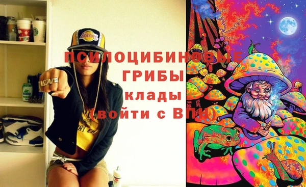 марки nbome Каменка
