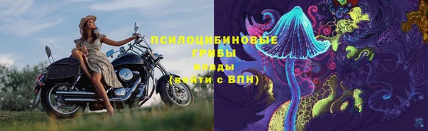соль курить ск Каменногорск