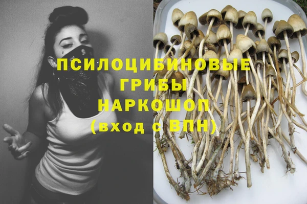 соль курить ск Каменногорск